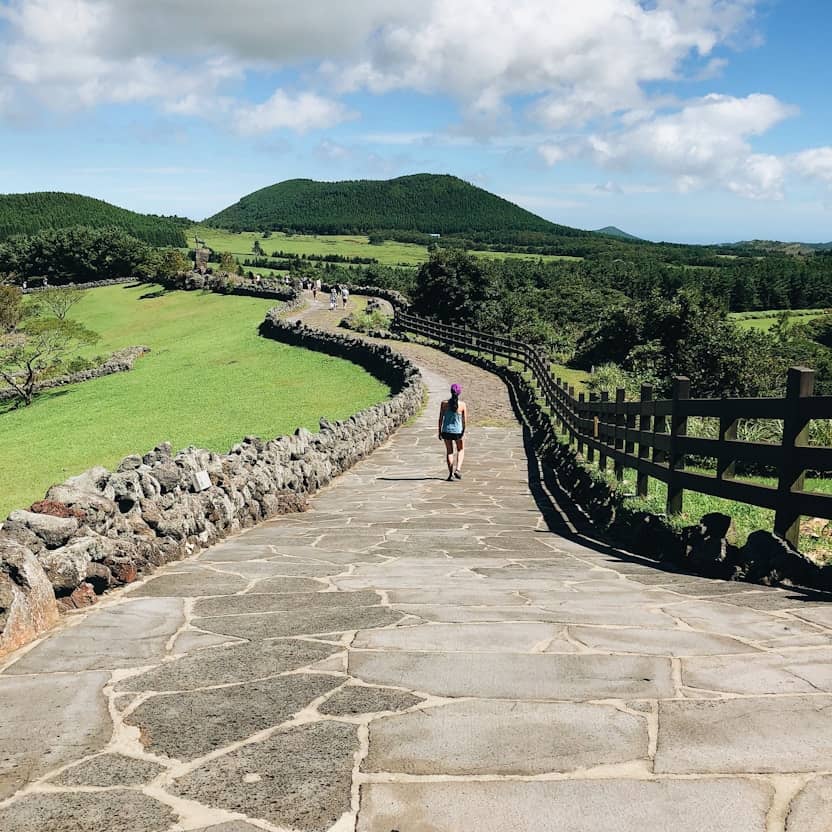 Imagen de comparación 7